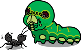 Swallowtail Butterfly Larvae "IMOMO" sticker #71908