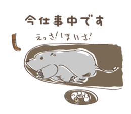 Animal Illust Message sticker #73120