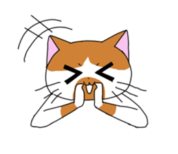 3 sisters' cat sticker #74272