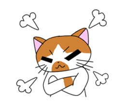 3 sisters' cat sticker #74293