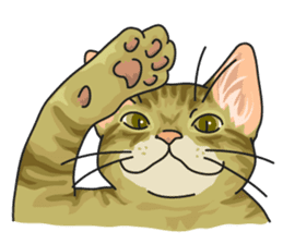 NO CAT NO LIFE Satowo cat stamp sticker #76540