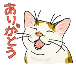 NO CAT NO LIFE Satowo cat stamp sticker #76541
