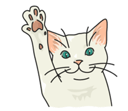 NO CAT NO LIFE Satowo cat stamp sticker #76543