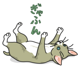 NO CAT NO LIFE Satowo cat stamp sticker #76544