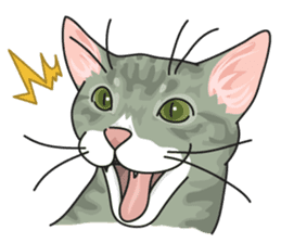 NO CAT NO LIFE Satowo cat stamp sticker #76548