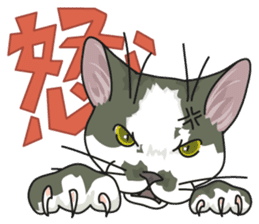 NO CAT NO LIFE Satowo cat stamp sticker #76551