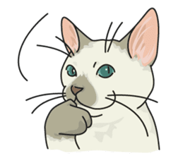 NO CAT NO LIFE Satowo cat stamp sticker #76554