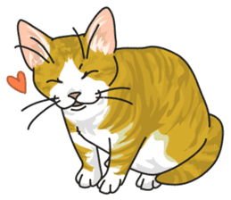 NO CAT NO LIFE Satowo cat stamp sticker #76558