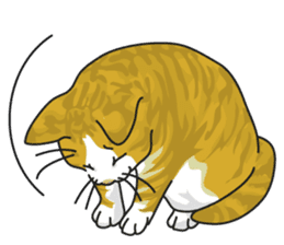 NO CAT NO LIFE Satowo cat stamp sticker #76559