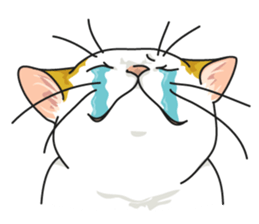 NO CAT NO LIFE Satowo cat stamp sticker #76562