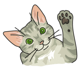 NO CAT NO LIFE Satowo cat stamp sticker #76573