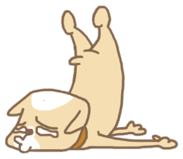 Chiwanwan sticker 2 sticker #76796