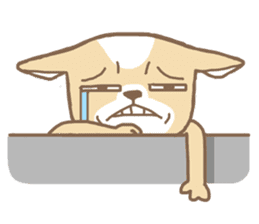 Chiwanwan sticker 2 sticker #76813