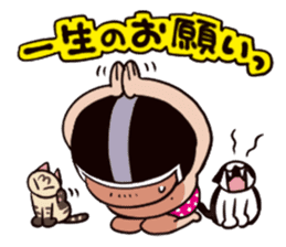 With a cat sticker #80251