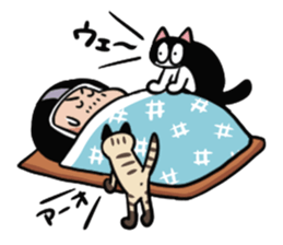 With a cat sticker #80261