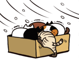 With a cat sticker #80270