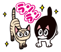 With a cat sticker #80271