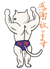 Macho Cat sticker #80296