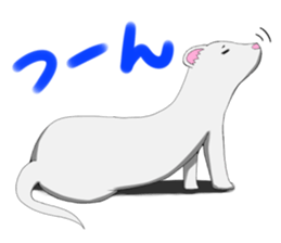 Stamp of ferret sticker #81789