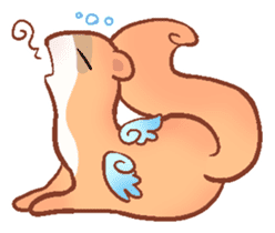 wing&tail (ferret) sticker #81826