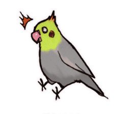 Birds STAMP vogel sticker #82016