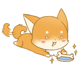 EGG`s Shiba Inu sticker #86034