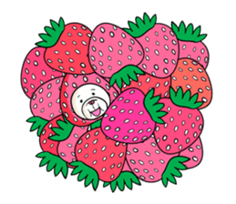 FRUIT DOG sticker #86163