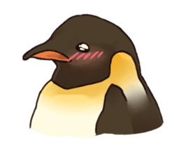 THIS IS THE PENGUIN sticker #86724