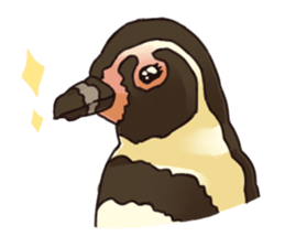 THIS IS THE PENGUIN sticker #86741