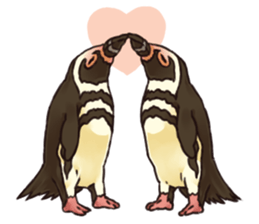 THIS IS THE PENGUIN sticker #86743