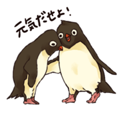 THIS IS THE PENGUIN sticker #86745