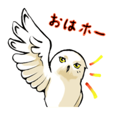 Wonder Baggao sticker #87196