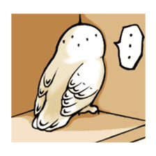 Wonder Baggao sticker #87199