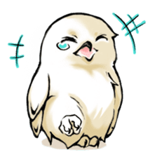 Wonder Baggao sticker #87202