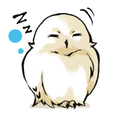 Wonder Baggao sticker #87203