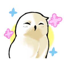 Wonder Baggao sticker #87206