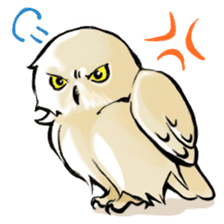 Wonder Baggao sticker #87210