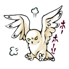 Wonder Baggao sticker #87211