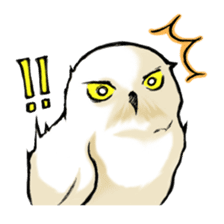 Wonder Baggao sticker #87212