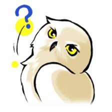 Wonder Baggao sticker #87213