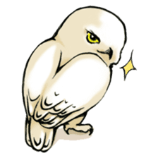 Wonder Baggao sticker #87214