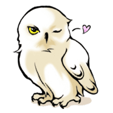 Wonder Baggao sticker #87216