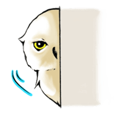 Wonder Baggao sticker #87219