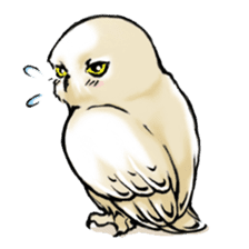 Wonder Baggao sticker #87220