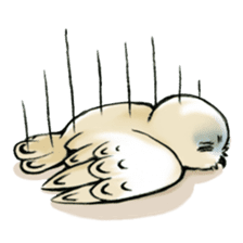 Wonder Baggao sticker #87221