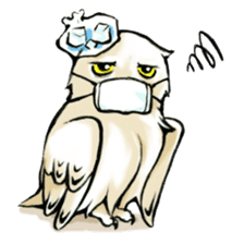 Wonder Baggao sticker #87222