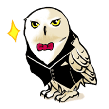 Wonder Baggao sticker #87229