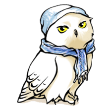 Wonder Baggao sticker #87231