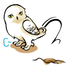 Wonder Baggao sticker #87232