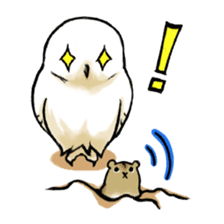 Wonder Baggao sticker #87233